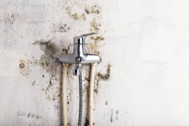Best Bathroom Mold Remediation in Lincoln Heights, OH