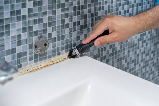 Best Black Mold Remediation in Lincoln Heights, OH